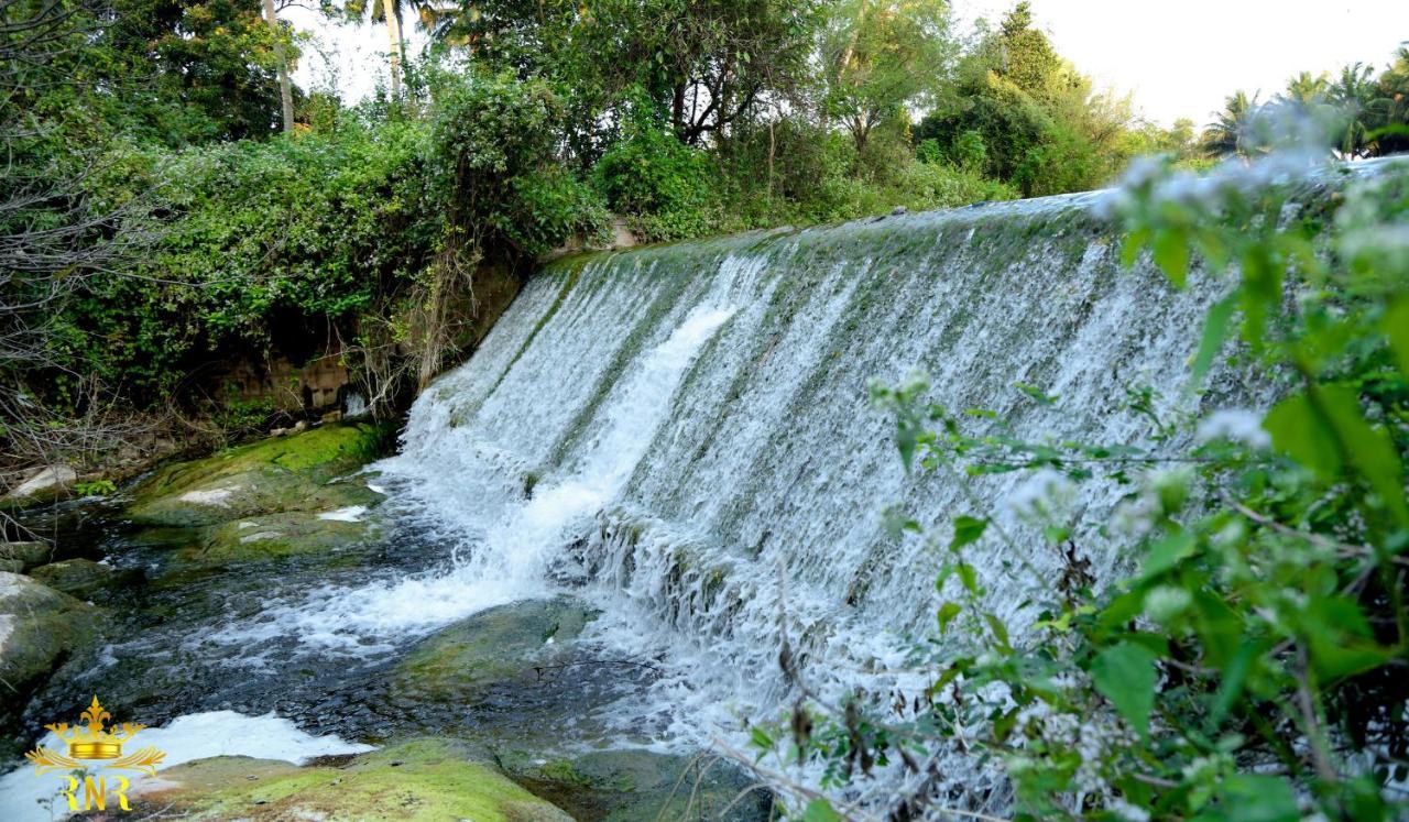 Royal Nature Resort Pollāchi Esterno foto